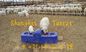 Canal de consumición termo plástico de cuatro agujeros el 1.5m para las ovejas