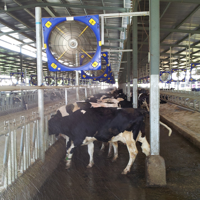 Alta resistencia de doble capa PE ventilador de circulación de ganado 38 Diámetro de la hoja 28273m3/h Flujo de aire 410w Potencia de entrada