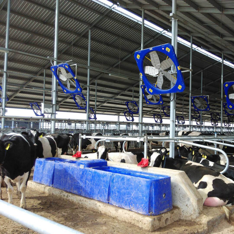 Agua de vacas asequible para el riego de trabajo pesado longitud 400cm / 13,1 pies. ancho 67cm / 2,2 pies
