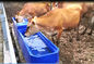 El tanque de agua plástico del ganado de la prueba L13ft 260L del helada