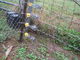 la cerca eléctrica Corner Insulator End del HDPE del agujero de clavo de 11m m filtra la cerca eléctrica Insulator