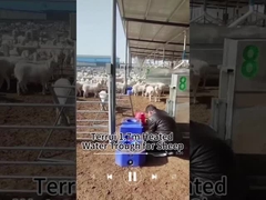 Conservación del calor Tanque de agua para el ganado para un suministro de agua fiable Capacidad de 200 kg