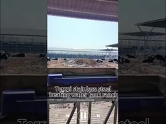 Modo de control de temperatura de 15-40C Cobre de beber con 3 juegos de discos de calefacción 220V300W