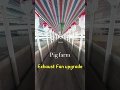 Ventilador de escape industrial de volumen 72 pulgadas Diámetro de la hoja IP55 grado de protección