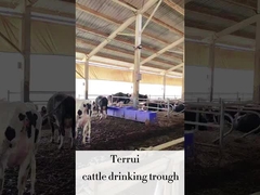 LLDPE Agua automática para ganado con 3 juegos de discos de calefacción de 220V300W para ganado