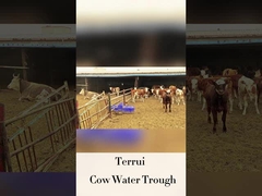 Agua automática de ganado con altura de consumo de 250 mm y caudal de LLDPE