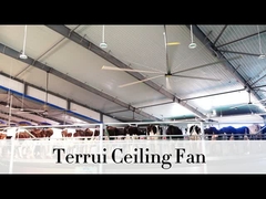 9.53 m3/min Flujo de aire ventilador de techo industrial 14300 m3/min Producción máxima