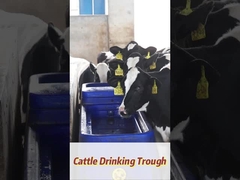 120L/min Cantidad de caudal Politeín resistente para el agua potable de vaca