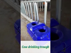 Agua de vacas de alto caudal para regar fácilmente a 450 mm de altura para beber