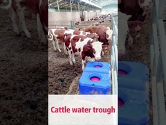 LLDPE Blue Cow Waterer La solución perfecta para el manejo del ganado
