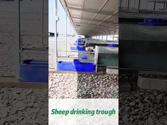 Capacitación de 60L Capacitación de 170*48*46cm Capacitación ideal para rebaños grandes