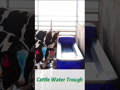 Agua para vacas de beber adecuada para el ganado 350 mm de altura