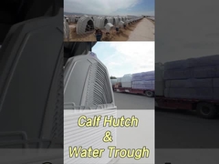 220*145*145cm Rectángulo de leche de terneros para mejorar la salud y el bienestar