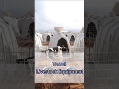 Las crías de terneros de polietileno blanco son un equipo esencial para las granjas lecheras