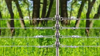 Asegure su ganado: cómo instalar aisladores de poste en T en cercas eléctricas