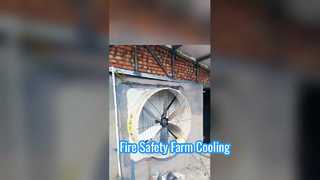 Ventilación de alta velocidad: extractores industriales Terrui en acción