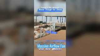 Canal de agua calentado para ganado de 1,7 m hecho de carcasa de plástico duradera para soportar condiciones de frío extremo